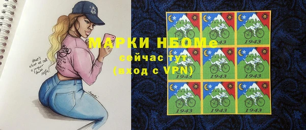 соль ск Вяземский