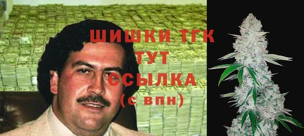 соль ск Вяземский