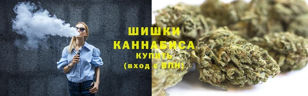 соль ск Вяземский