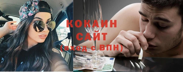 соль ск Вяземский