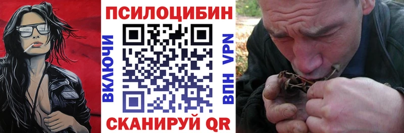 Купить  Юхнов  Псилоцибиновые грибы GOLDEN TEACHER 